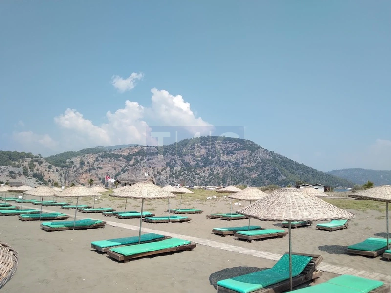 Dalyan’s Turtle Beach: Eco-Friendly Transfer Options