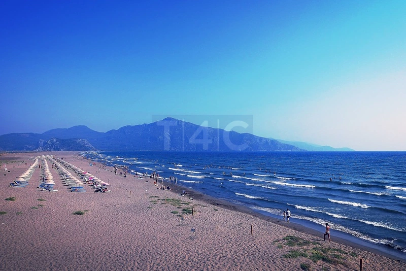 Dalyan'ın Kaplumbağa Plajı: Havalimanı Transfer Seçenekleri